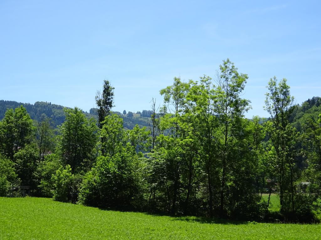 Haus Im Gruenen - Gmundennaehe Pinsdorf Exterior foto
